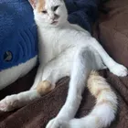 ユーザー画像