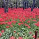 ユーザー画像