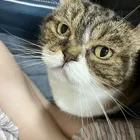 ユーザー画像