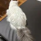 ユーザー画像