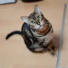ユーザー画像
