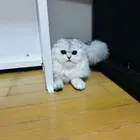 ユーザー画像