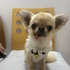 ユーザー画像