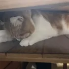 ユーザー画像