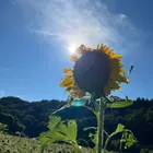 ユーザー画像
