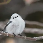 ユーザー画像