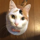 ユーザー画像