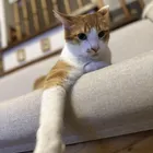 ユーザー画像