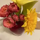 ユーザー画像