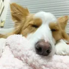 ユーザー画像