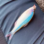 ユーザー画像