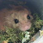 ユーザー画像