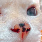 ユーザー画像
