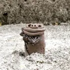 ユーザー画像