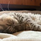 ユーザー画像