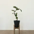 ユーザー画像