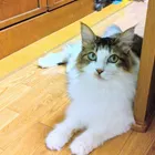 ユーザー画像
