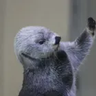 ユーザー画像