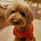 ユーザー画像