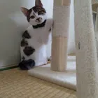 ユーザー画像