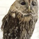 ユーザー画像