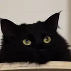 ユーザー画像
