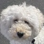 ユーザー画像