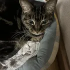 ユーザー画像