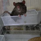 ユーザー画像