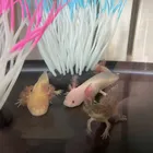 ユーザー画像