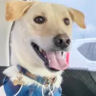 ユーザー画像