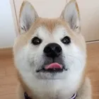 ユーザー画像