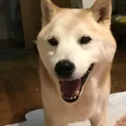 ユーザー画像
