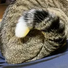 ユーザー画像