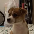 ユーザー画像