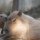 ユーザー画像