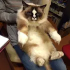 ユーザー画像
