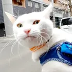 ユーザー画像