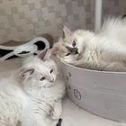 ユーザー画像