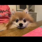 ユーザー画像