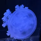 ユーザー画像
