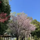 ユーザー画像