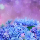 ユーザー画像