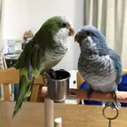 ユーザー画像