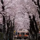 ユーザー画像