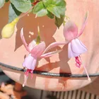 ユーザー画像