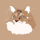 ユーザー画像