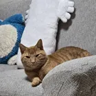 ユーザー画像