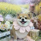 ユーザー画像