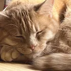 ユーザー画像